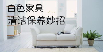 白色家居養(yǎng)護(hù)指南 從日常清潔到深層維護(hù)的完整攻略