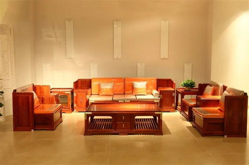 疫情期間家居最全消毒養(yǎng)護(hù)指南 守護(hù)健康，從細(xì)節(jié)做起